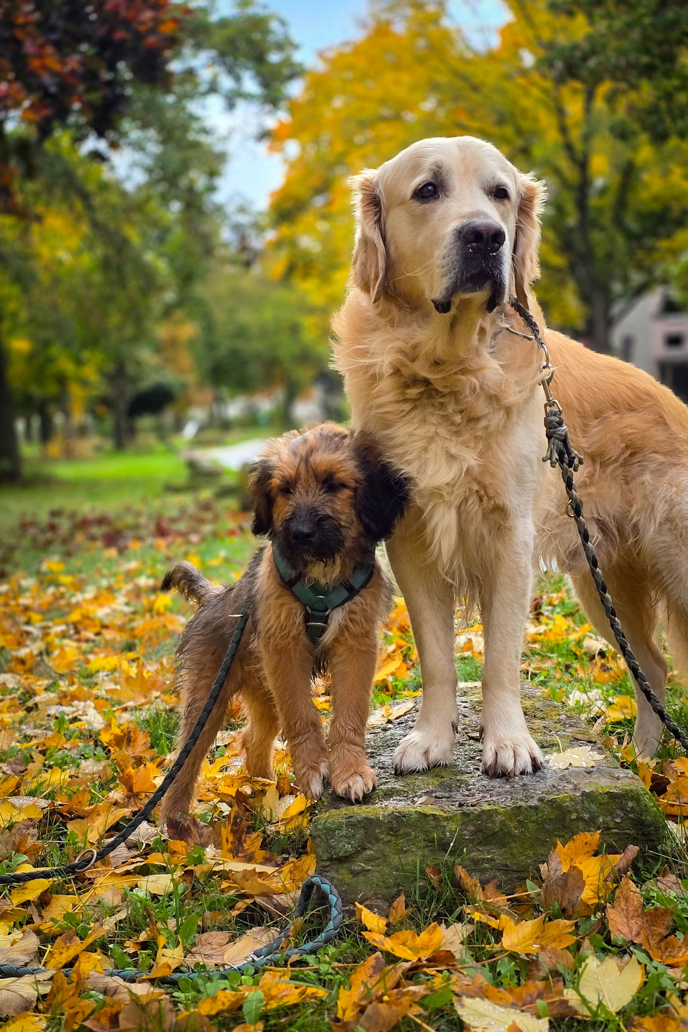 Prinz Nanuk & Paulchen