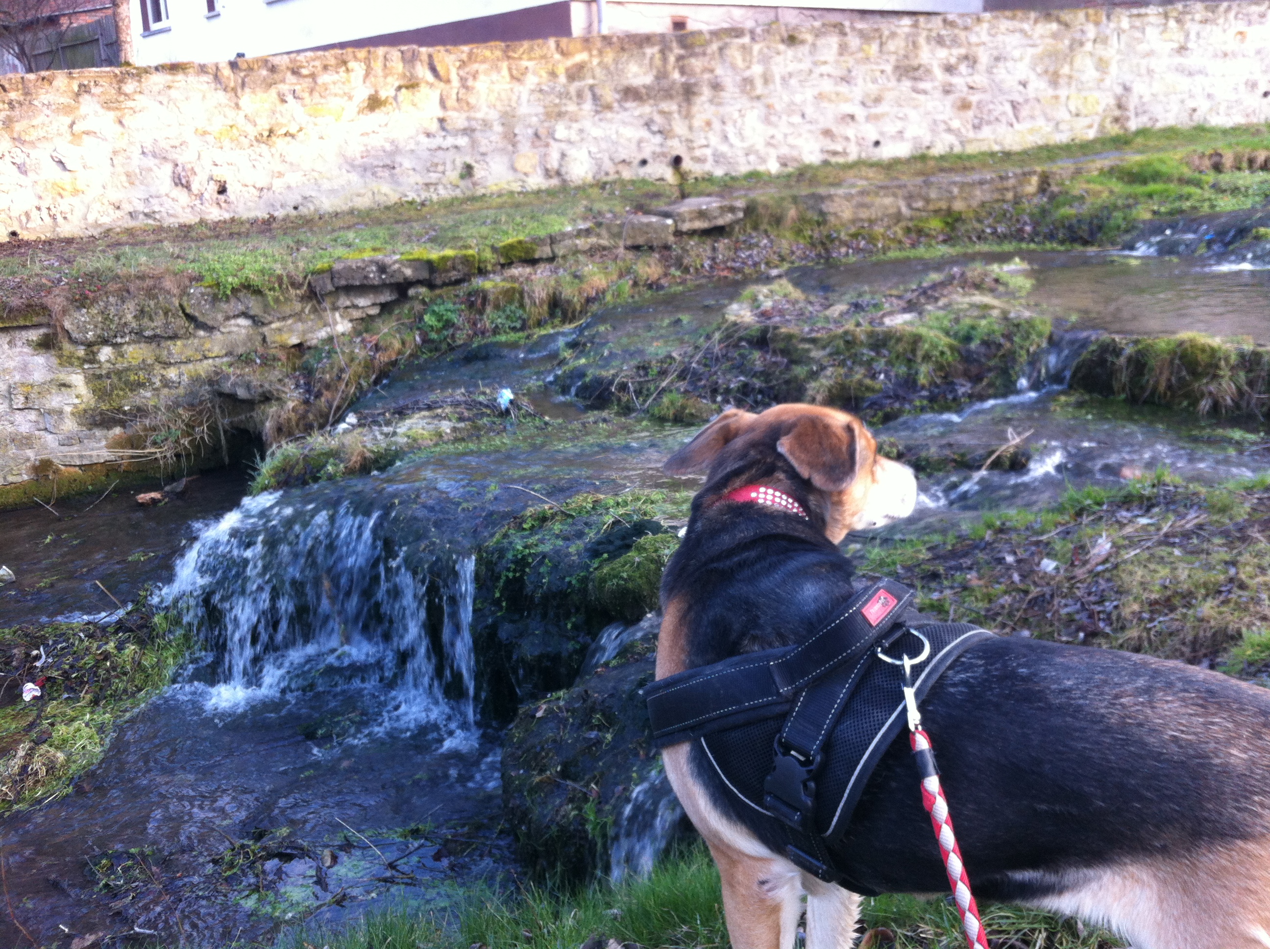 Am Wasser in Mühlberg