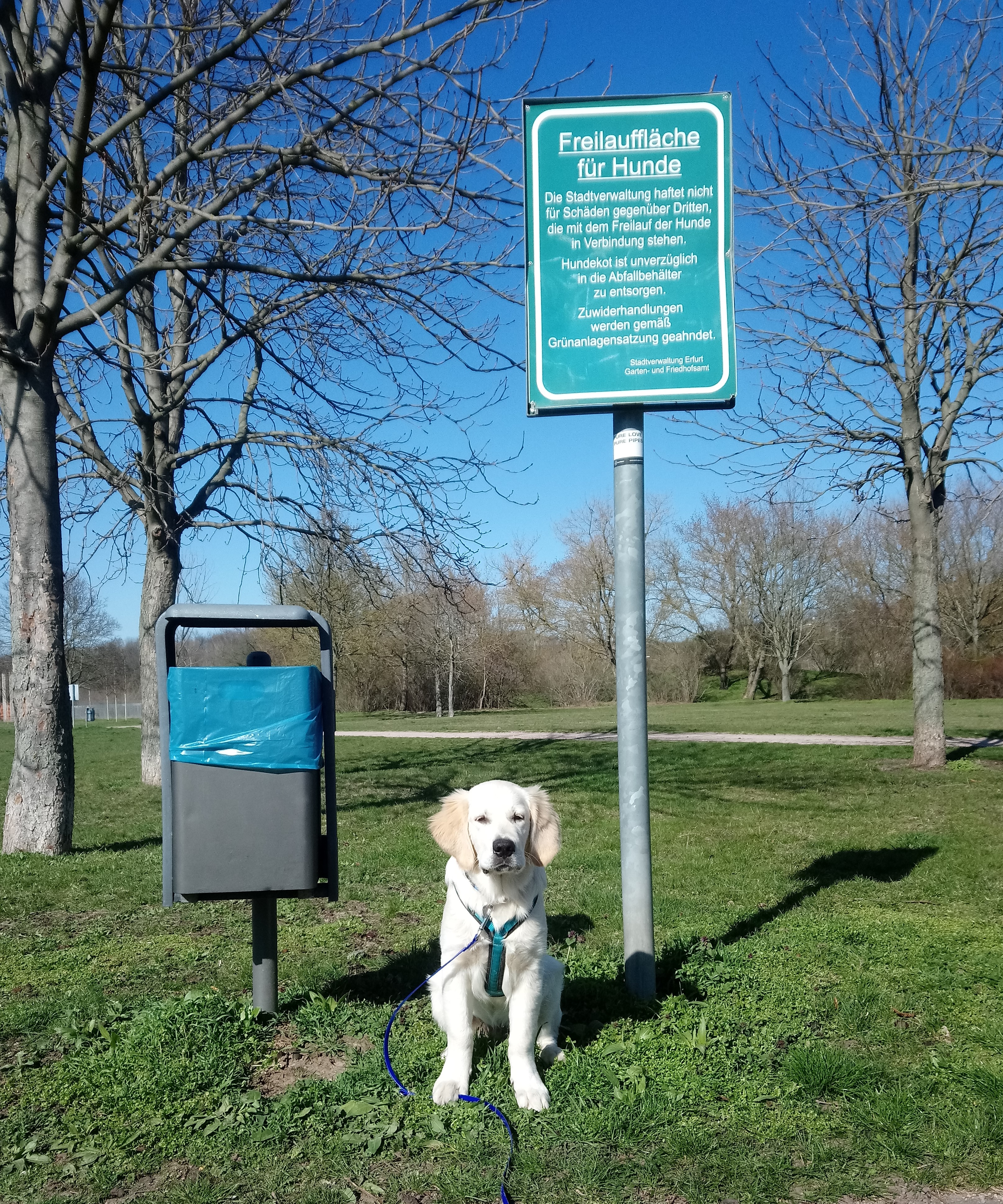 Hundewiese am Roten Berg