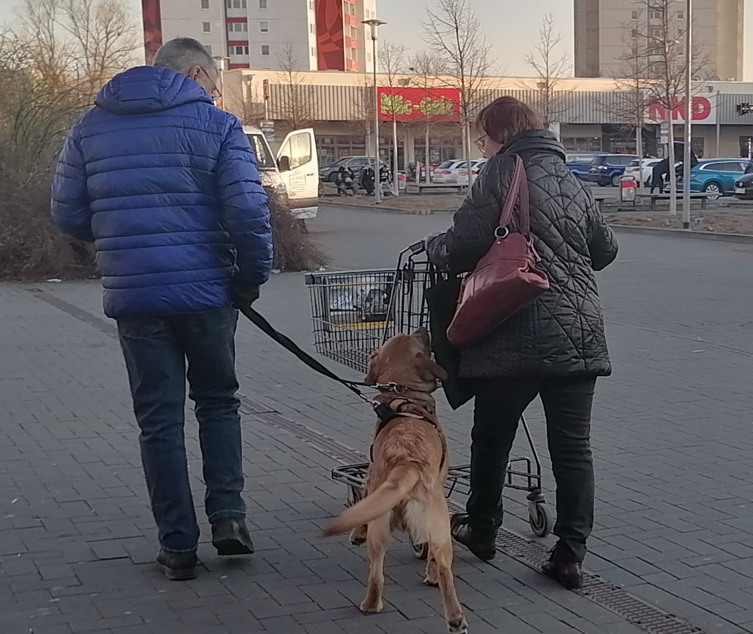Am ratternden Einkaufswagen Laufen