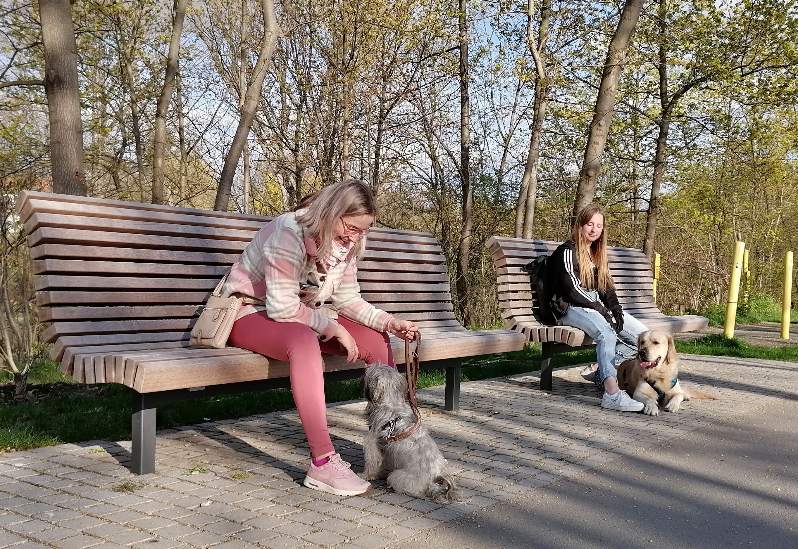 Ruheübung bei Reizen