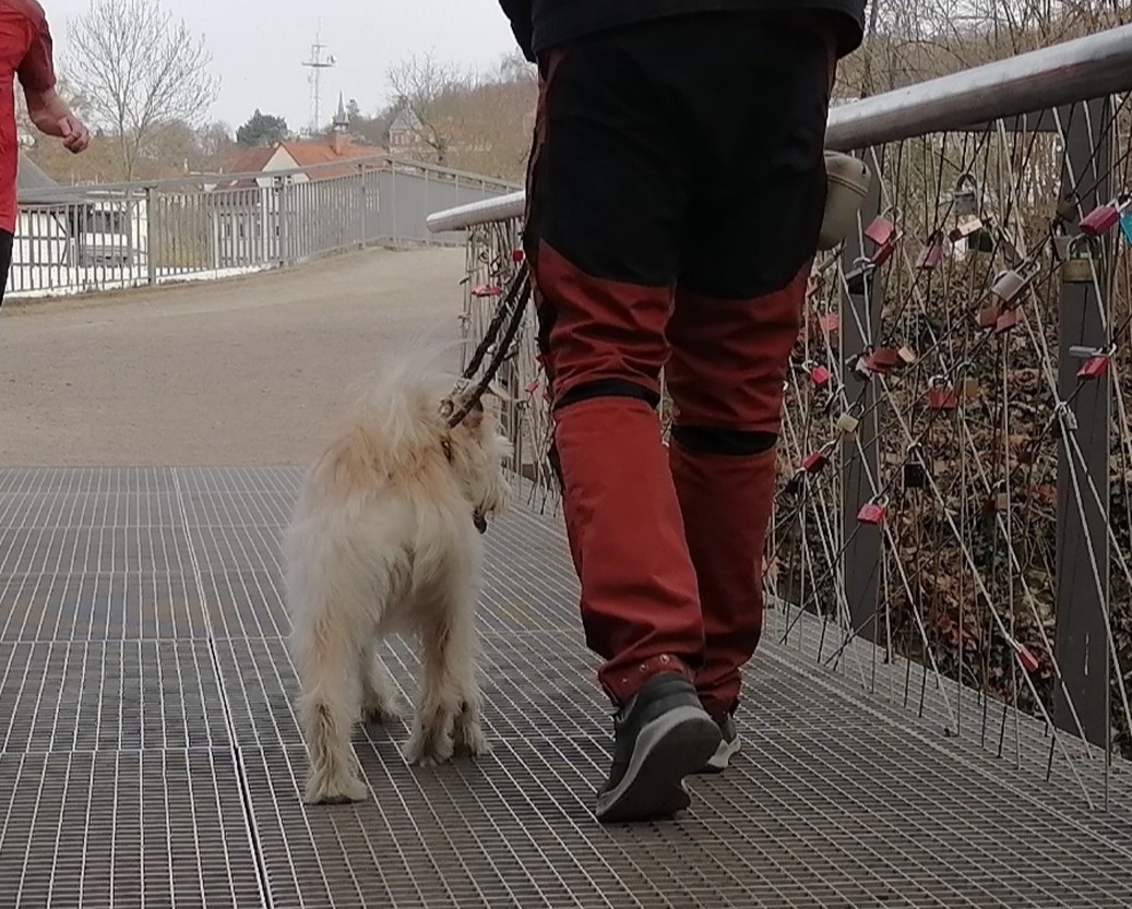 Gitterbrücke