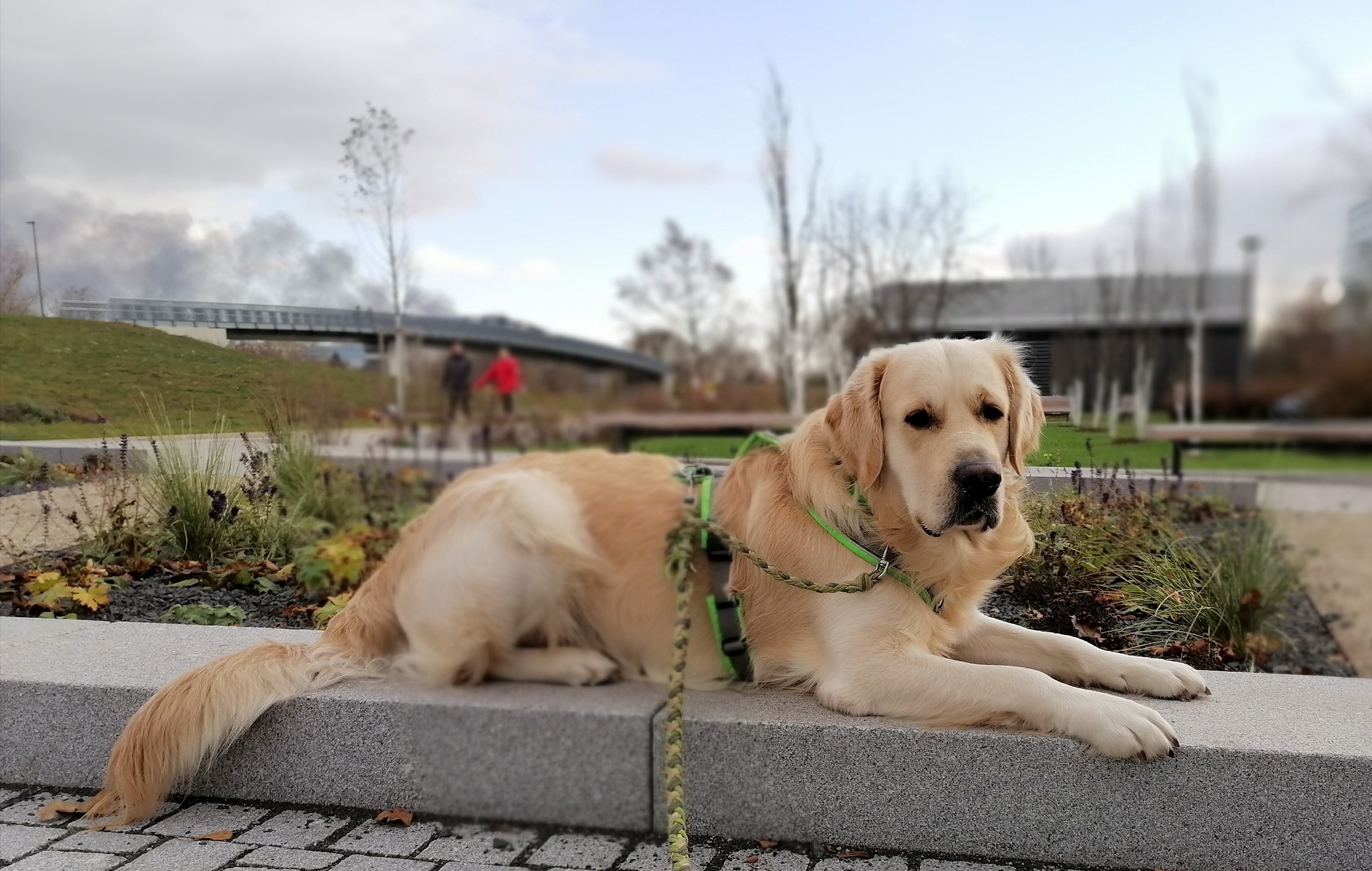 Parkbesuch