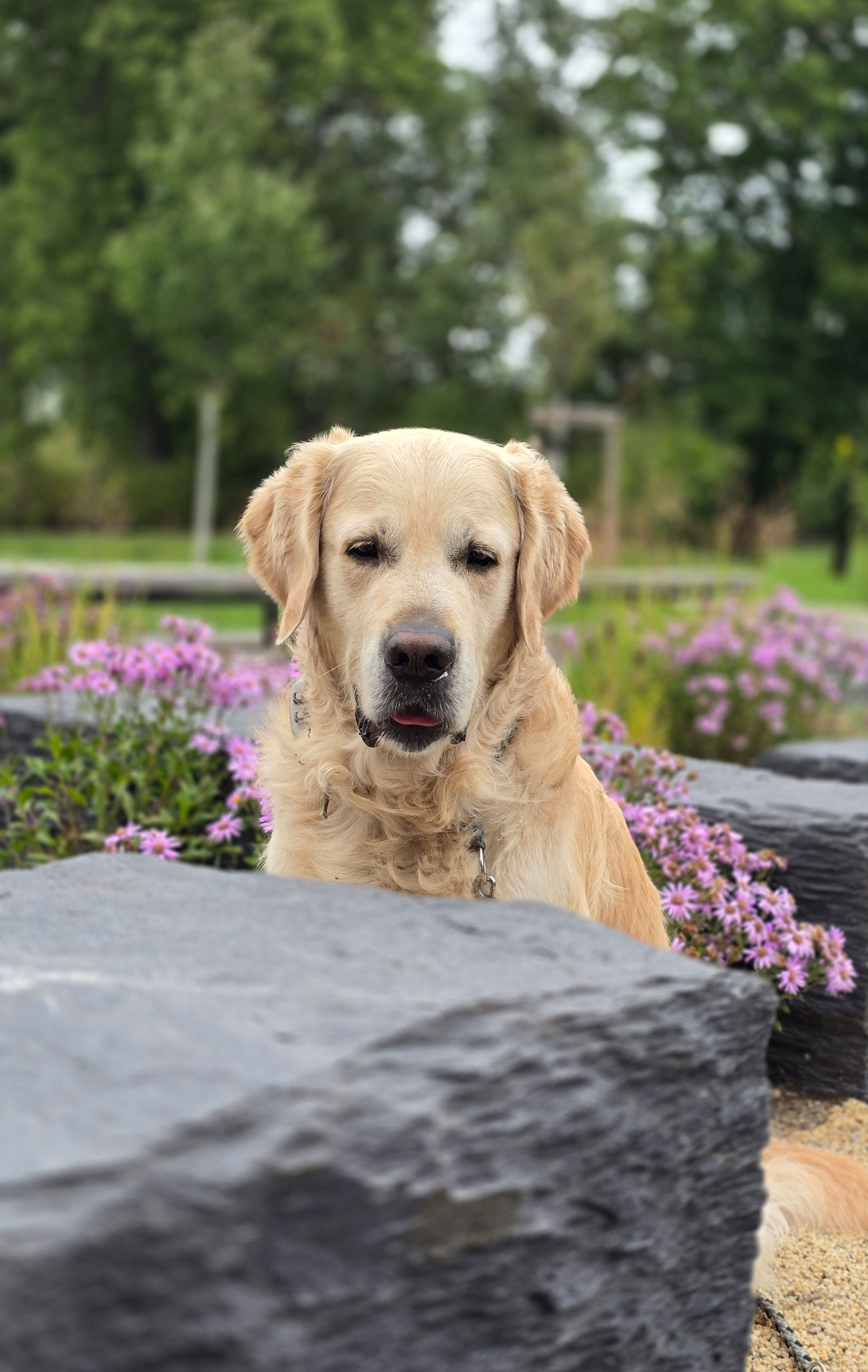 Deine schnelle Antwort auf deine pers&ouml;nliche Frage